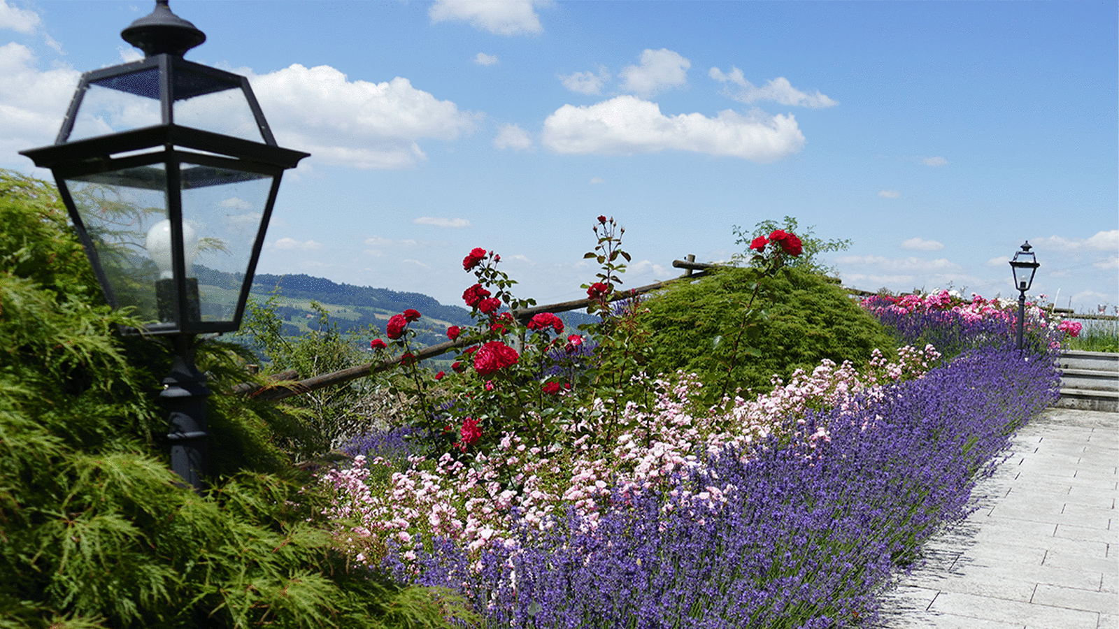 Rosen- und Blütenschnitt