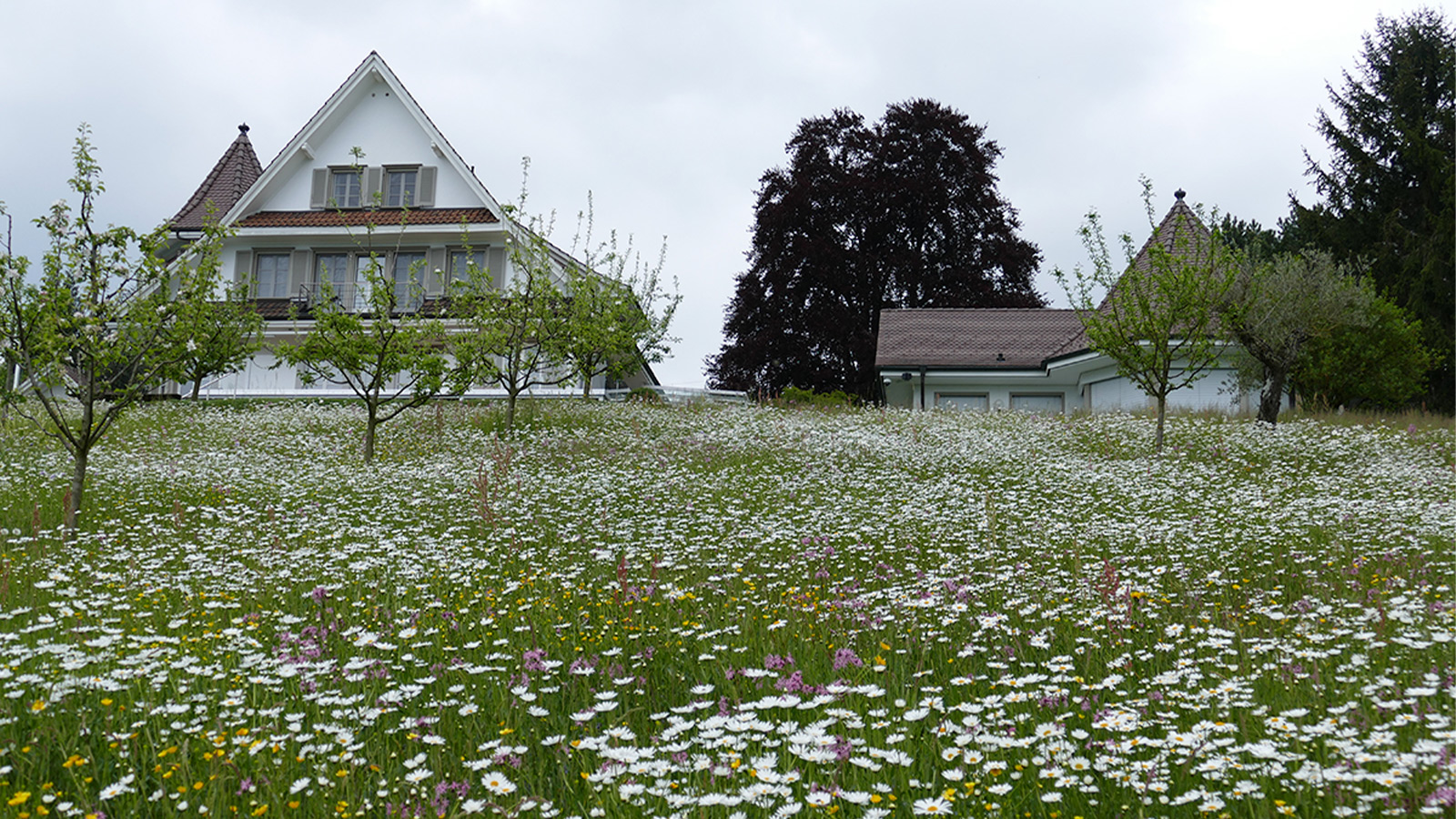 unser Gartenabo ist vielseitig einsetzbar